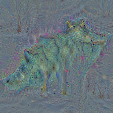 n02113978